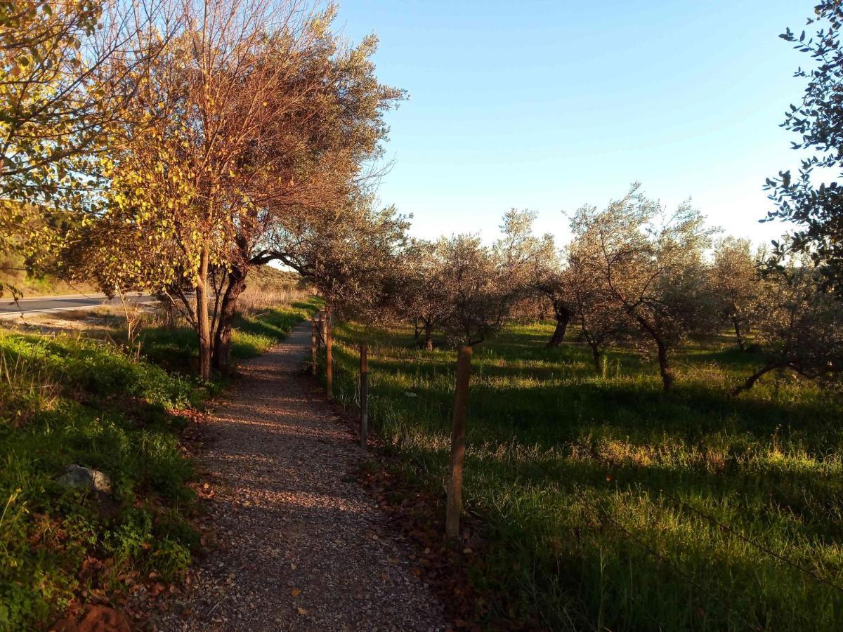 Casa Rural El Palomar El Pedroso Εξωτερικό φωτογραφία